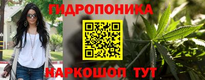 прущие крисы Жуковский